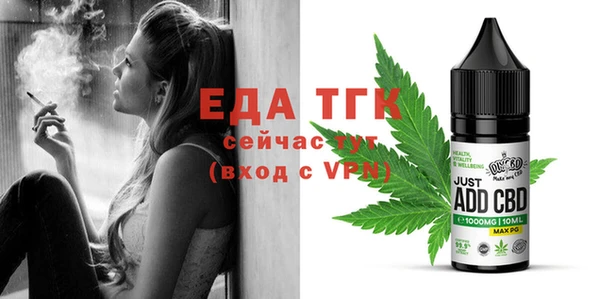 индика Карабаш