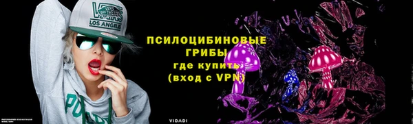 индика Карабаш