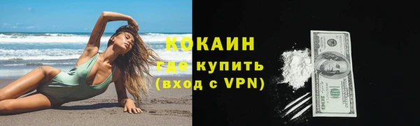 индика Карабаш