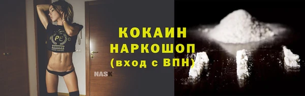 индика Карабаш