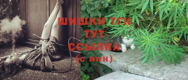 индика Карабаш