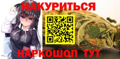 сатива Гай