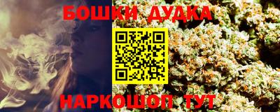 сатива Гай