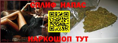сатива Гай