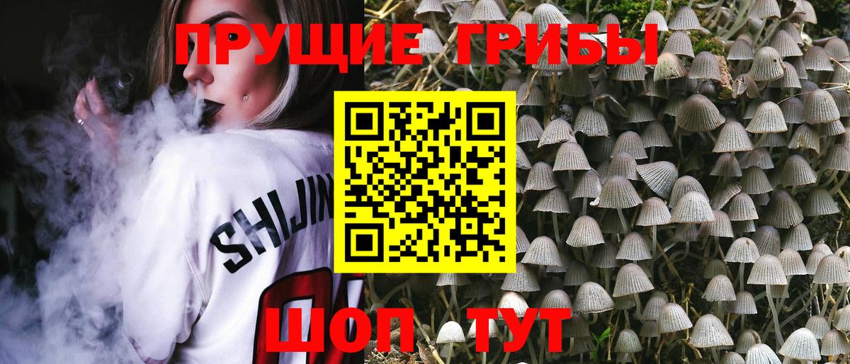 Псилоцибиновые грибы MAGIC MUSHROOMS Карпинск