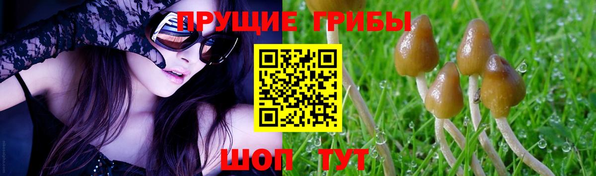 Галлюциногенные грибы Cubensis  Псилоцибиновые грибы мухоморы  Вход с VPN  Карпинск 