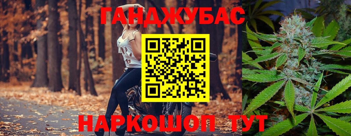 Конопля сатива Карпинск